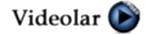 Videolar